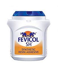 Fevicol Gum (100 gm)