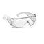 OVER SPECT GOGGLES/VISITOR GOGGLES  SMOKE LENSE UNCOATED