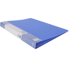 Plastic File Blue