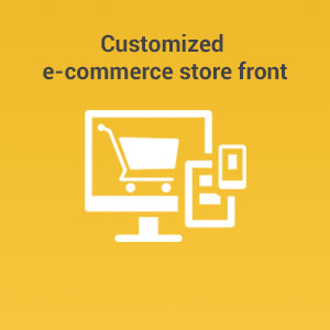 Customized e-commerce store front